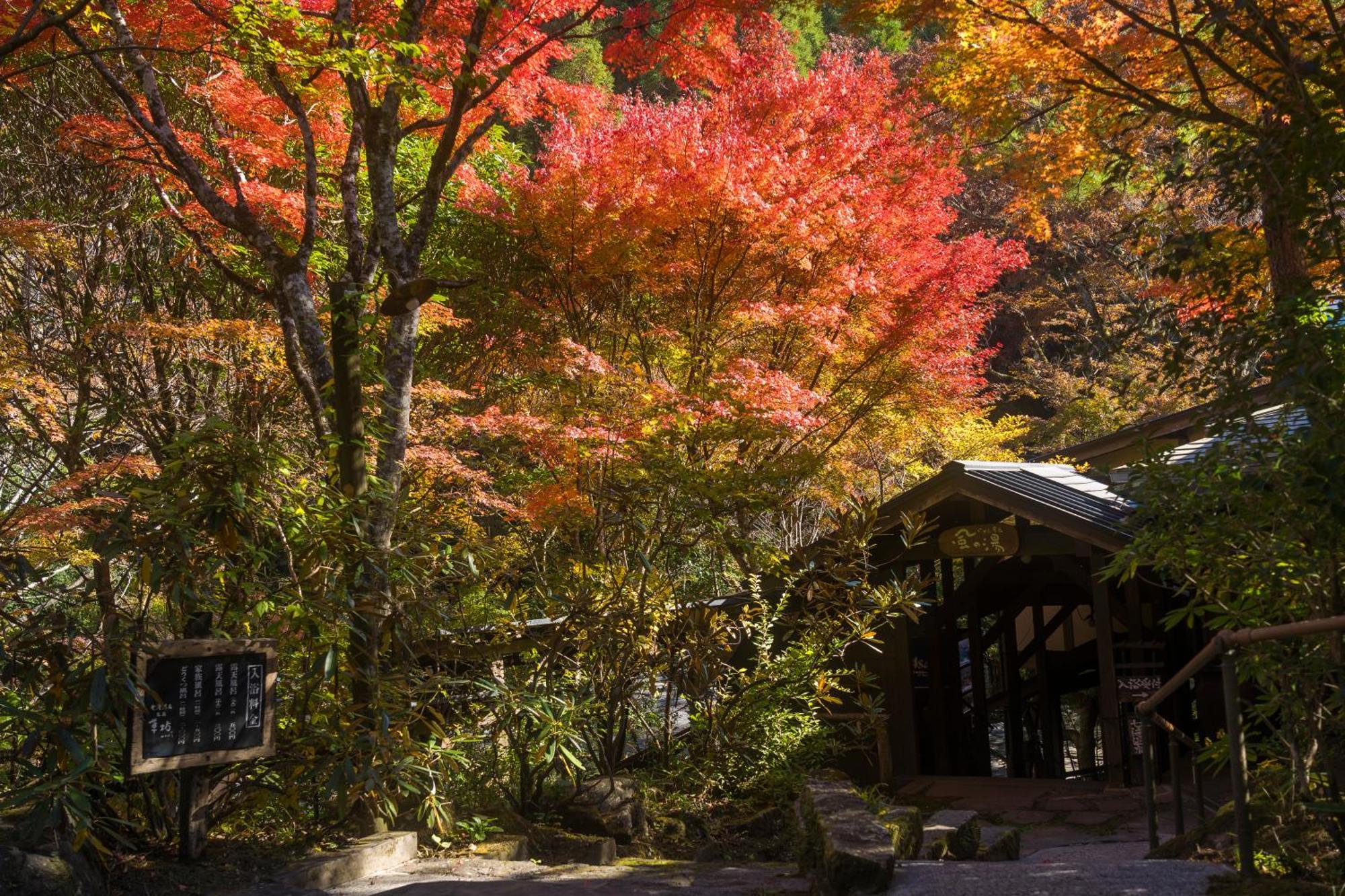 Oyado Hanabou Minamioguni Exterior foto